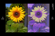 Tricolor Riso Effect - Photoshop, a Layer Style Add-On by Bitstate Design (Thumbnail 4 of 4)