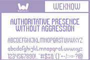 Universal Law font, a Sans Serif Font by weknow (Thumbnail 4 of 8)