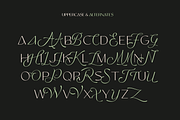 Mango Style - Modern Branding Font, a Font by creativemedialab (Thumbnail 13 of 14)