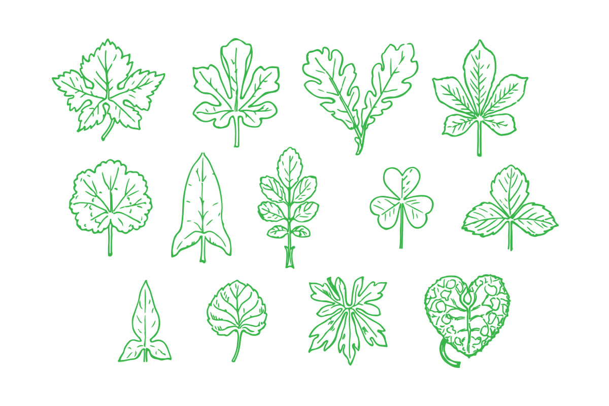 Contour Leaves Illustration Pack, an Illustration by Theresa Barba (Photo 2 of 2)