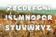 Flower Lover font, SVG font, a Font by Tattoo Worker Studio (Thumbnail 3 of 4)