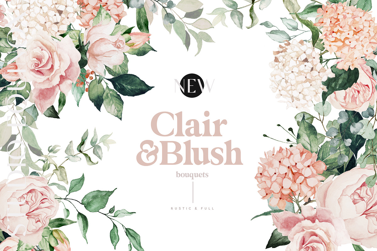 Clair & Blush - Summer Floral Set, an Illustration by studioequinox (Photo 4 of 14)
