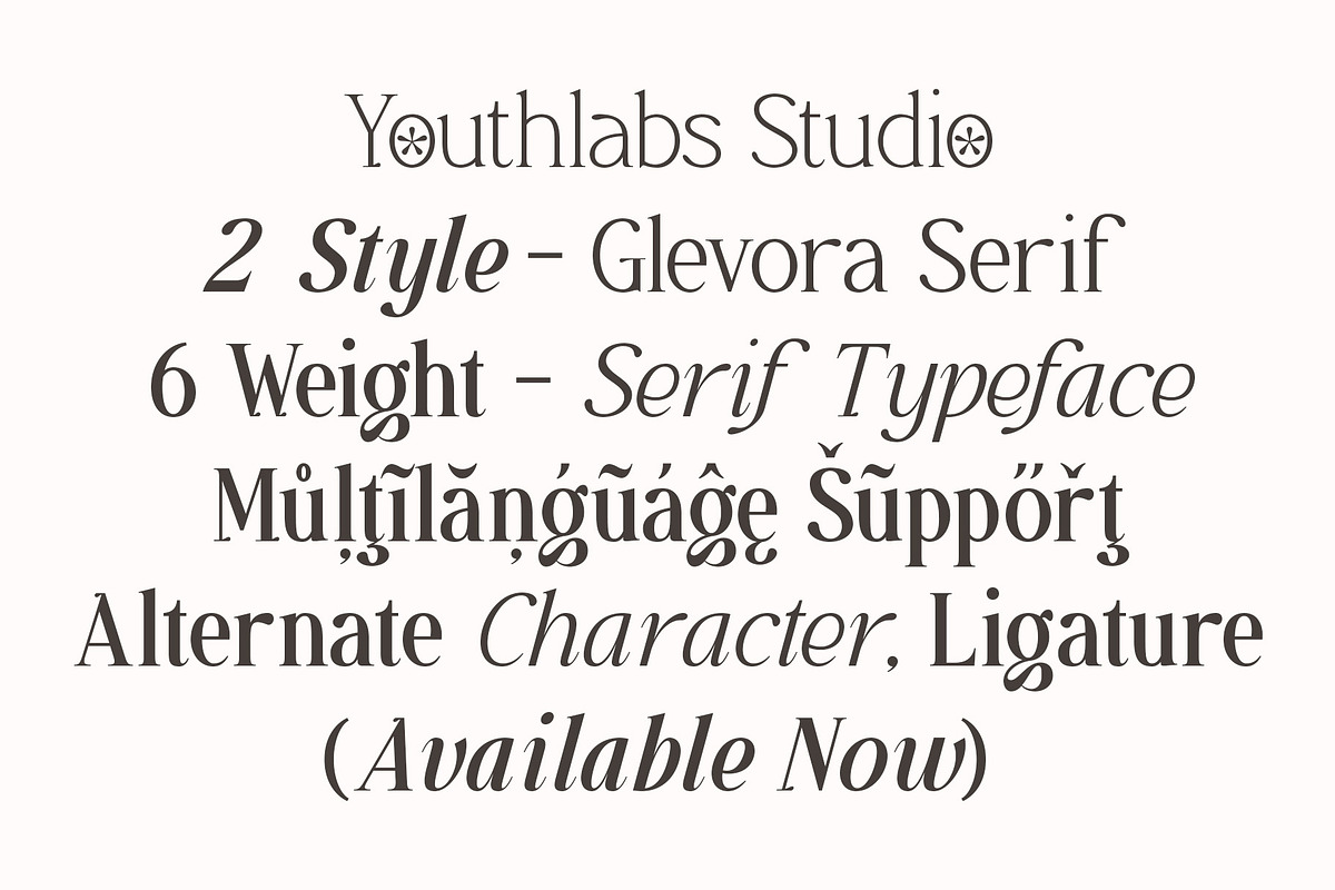 Glevora - Elegant Serif Family, a Serif Font by Youthlabs Studio (Photo 16 of 18)