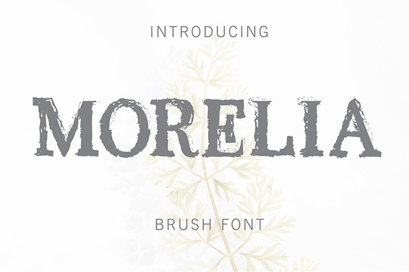 MORELIA preview 8