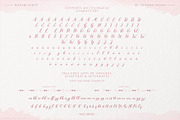 Rixiline Script Font, a Script Font by Barland Design (Thumbnail 5 of 7)