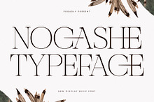 Nocashe New Display Serif Font