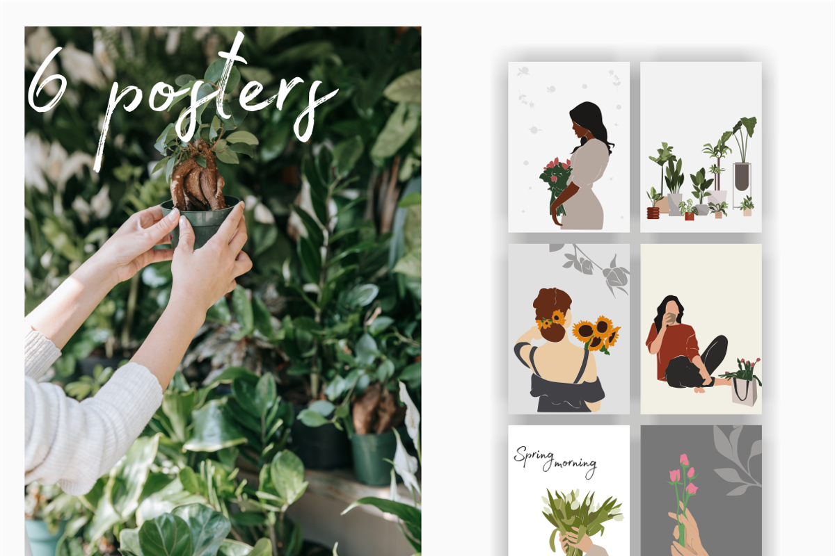 Flower collection, home plants, a Decorative Illustration by Yana_mide (Photo 10 of 10)