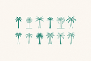 Palm logos and emblems, an Object Graphic by venimo (Thumbnail 2 of 6)
