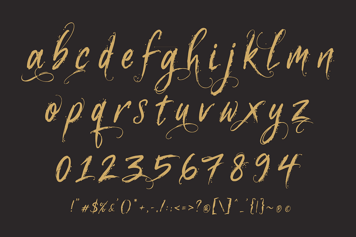 Eurama Ultura - Expressive Script, a Handwritten Font by HypeWorksCo (Photo 17 of 17)