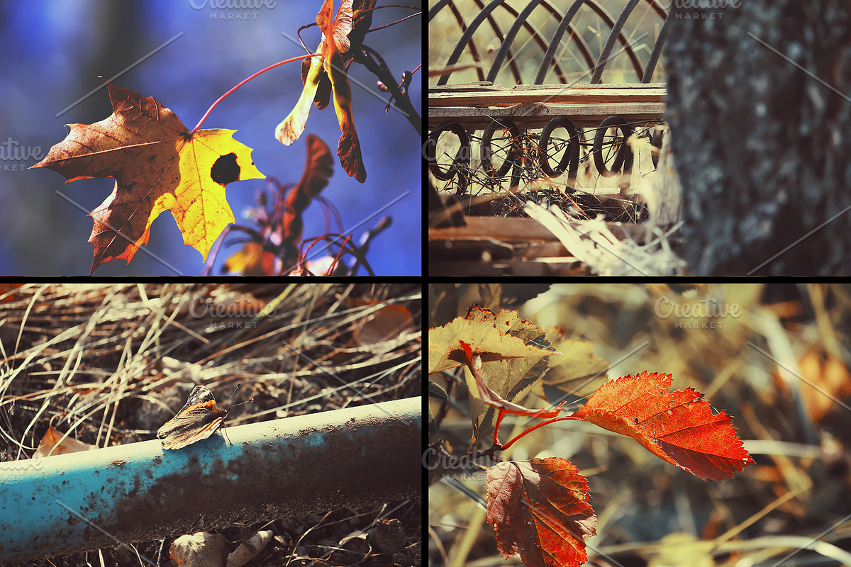 28 autumn nature photo pack, a Nature Photo by pictures for you (Photo 6 of 7)