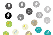 LEAF (NATURE) ICONS, an Icon by SUBCUTANEO STORE (Thumbnail 3 of 4)