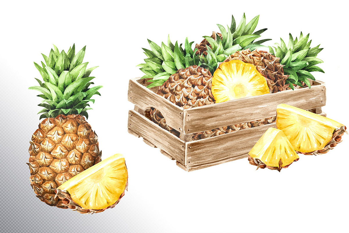 Tropical Pineapple. Hand painted, a Food Illustration by Daria Ustiugova (Photo 25 of 28)