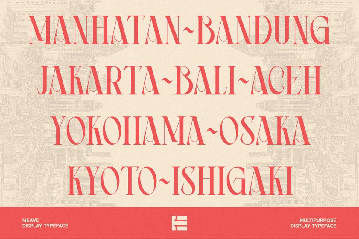 Meave, a Serif Font by Eotype Studio (Photo 2 of 12)