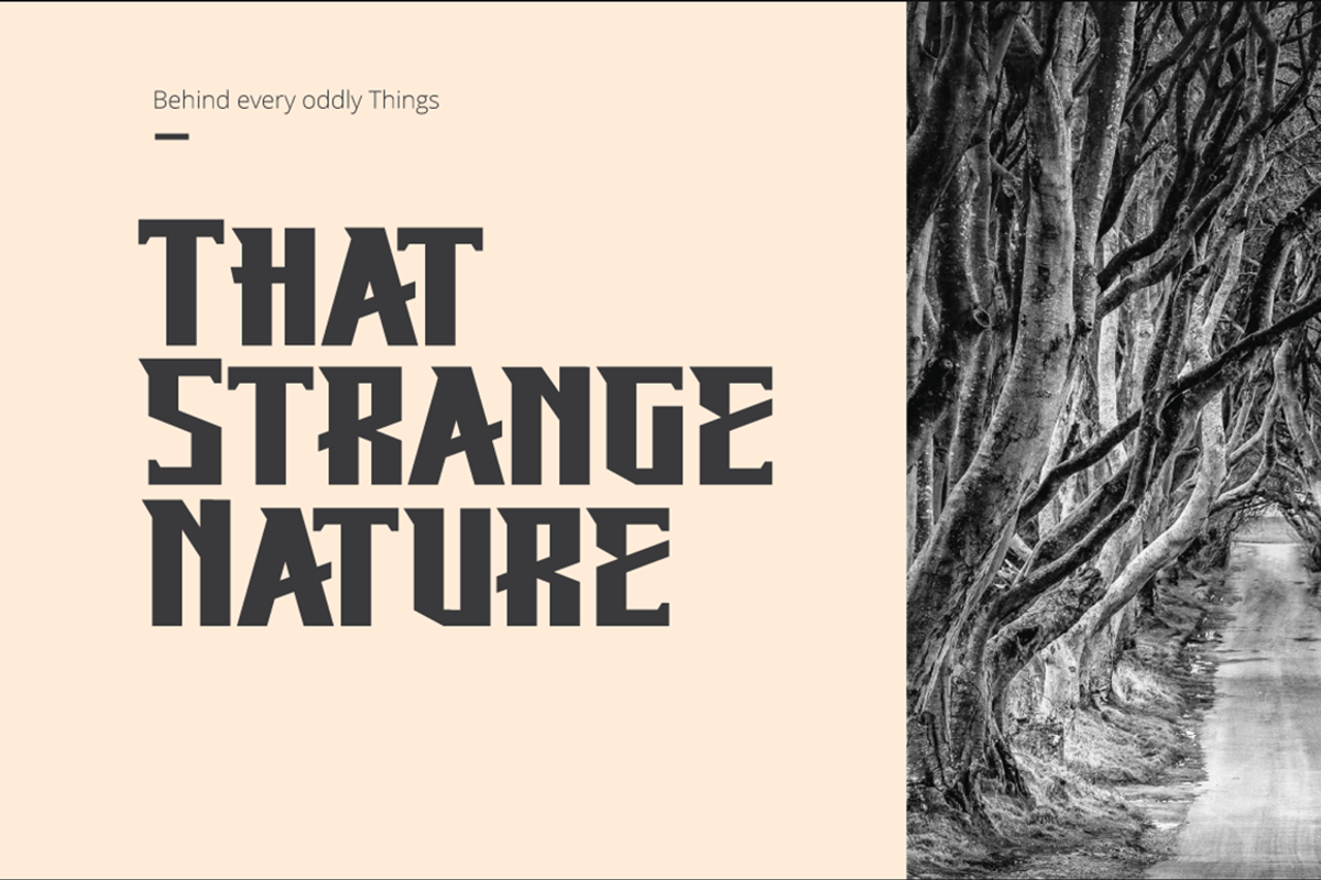Beking Font, a Font by Grontype (Photo 3 of 8)