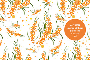 Sea buckthorn patterns set.