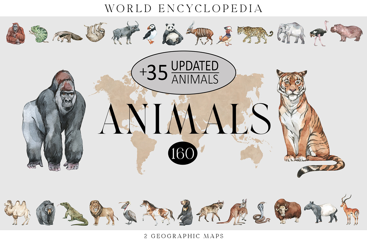 ANIMALS World Encyclopedia, an Animal Illustration by Anastezia Luneva (Photo 1 of 14)