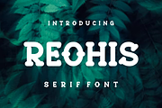 Reohis, a Serif Font by lelevien (Thumbnail 5 of 5)