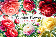 Watercolor Peonies Flowers Clipart, an Illustration by Dream Creation (Thumbnail 1 of 4)
