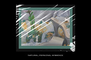 Plastic Bundle Branding Wrap Texture, a Texture Graphic by PrintPixel (Thumbnail 61 of 86)