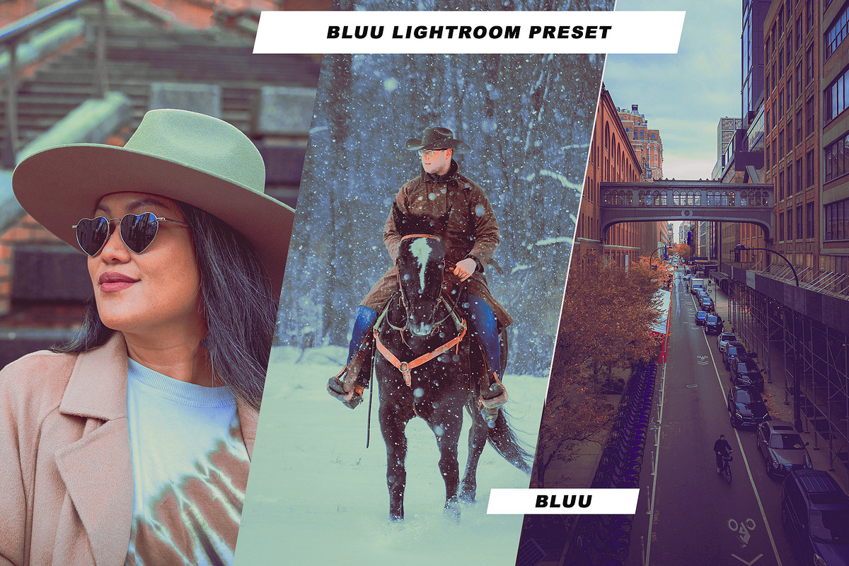 6 IN 1 Lightroom Presets Bundle, an Action Add-On by Viktor Gjokaj (Photo 2 of 7)