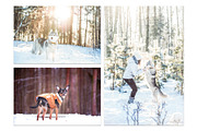 Winter Dog, Christmas Mood, an Animal Photo by WildStrawberry Magic (Thumbnail 6 of 11)