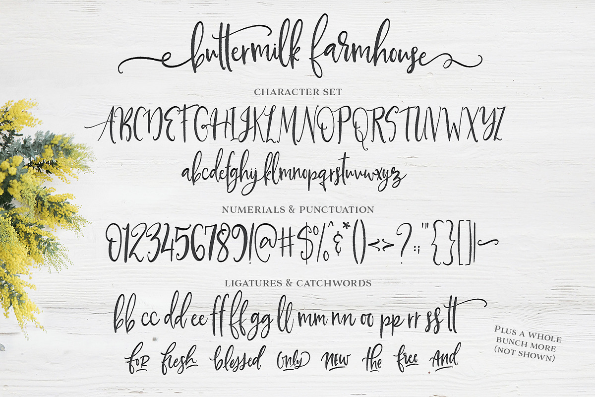 Buttermilk Farmhouse Type & Graphics preview 6