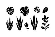 Minimal Botanical Leaf Silhouette Bu, an Illustration by Creativeshirt (Thumbnail 9 of 51)