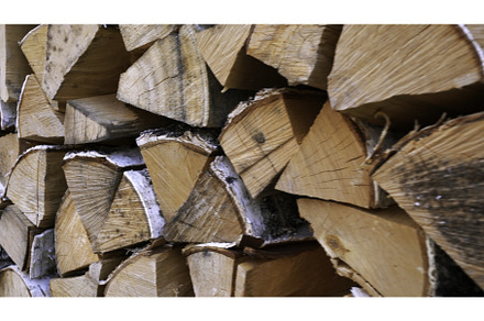Close-up of firewood supply. Media, a Nature Photo by Media Whale Stock