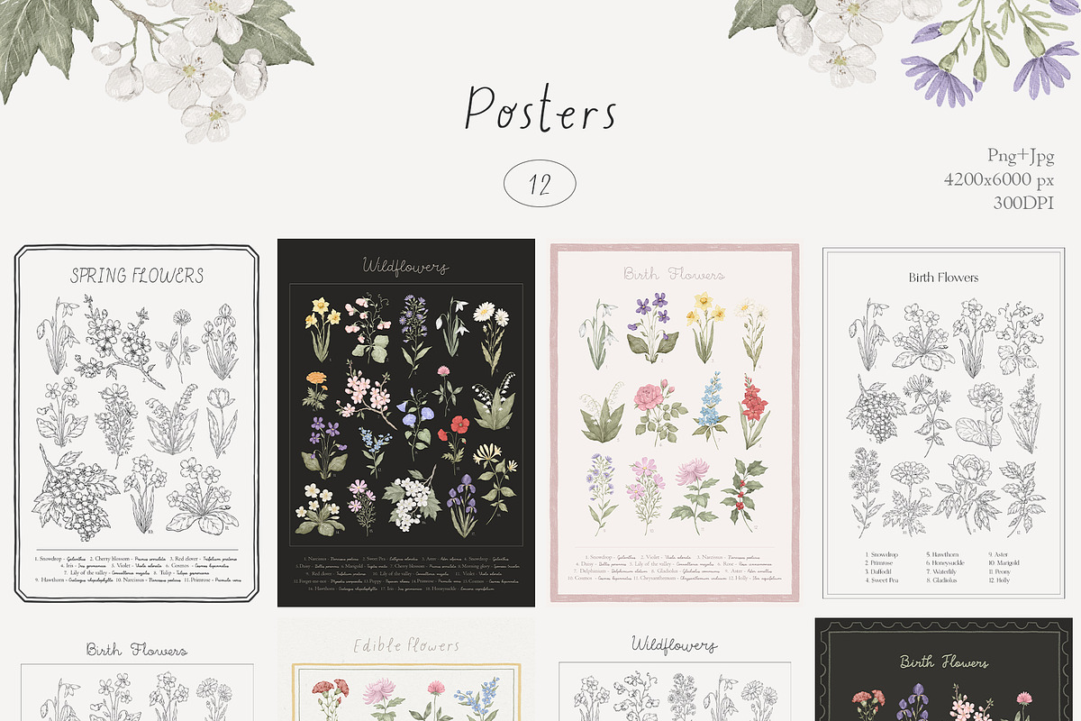 Wildflowers. Hand drawn pencil flora, a Decorative Illustration by Kreker Kate (Photo 5 of 12)