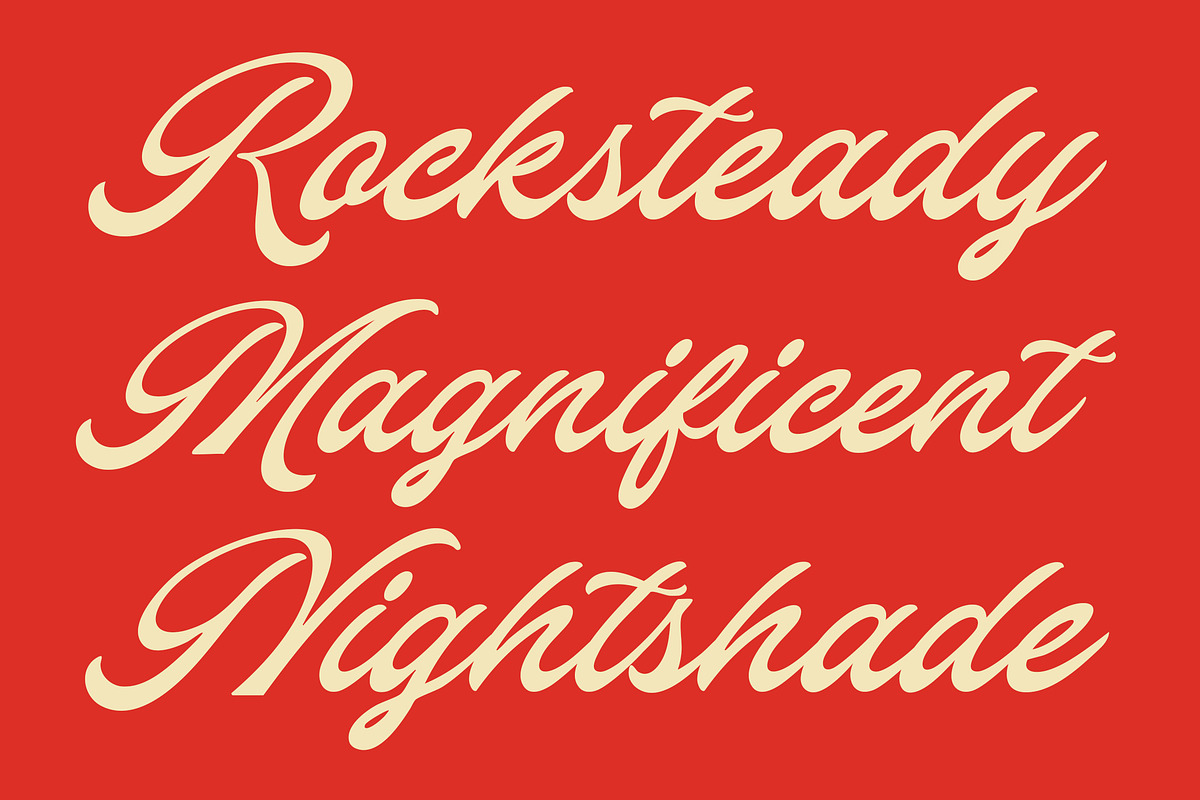 Heldies – Retro Vintage Script Font, a Script Font by Blankids Studio (Photo 5 of 12)
