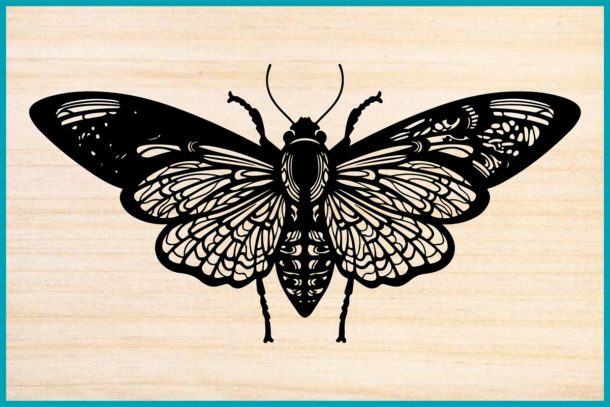 50 Butterfly Silhouette Vector, an Illustration by Gaye Art (Photo 3 of 4)