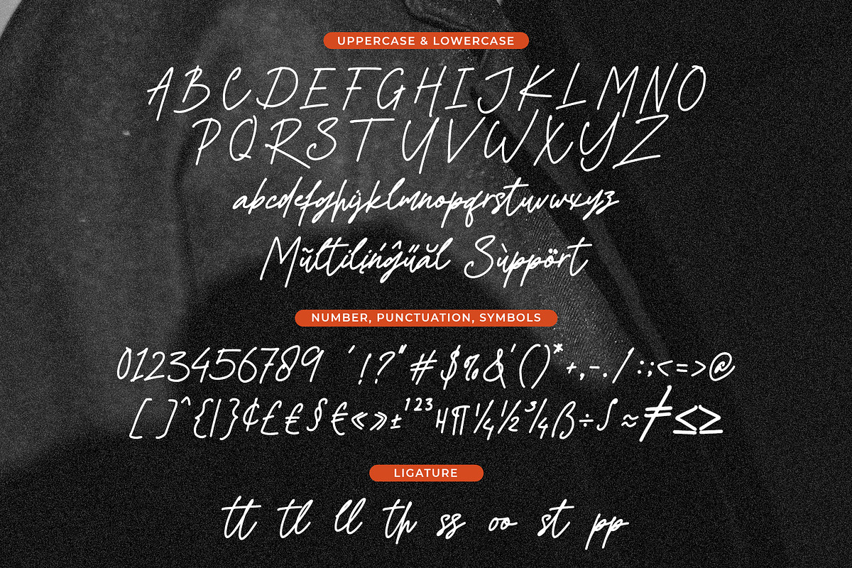 Shandia Signature, a Script Font by Gatype (Photo 6 of 7)
