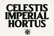 Elmont | 18 Fonts, a Serif Font by Skinny Type (Thumbnail 6 of 10)