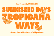 Kayna - Modern Family Font, a Sans Serif Font by Pandeka Studio (Thumbnail 9 of 12)