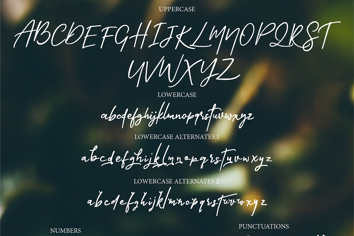 Crystal Castle Font + Logos, a Script Font by theinkaffair (Photo 11 of 11)