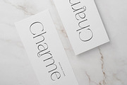 Gestiva Elegant Modern Serif, a Serif Font by Storytype Studio (Thumbnail 9 of 15)