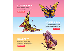 butterfly banner. cute collection of, an Animal Illustration by Multigon