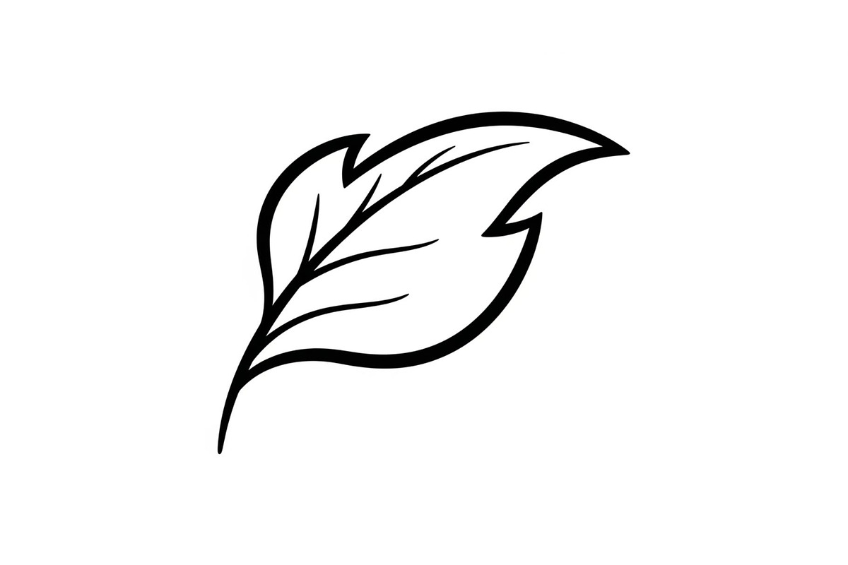 Hand Drawn Leaf Line Art Bundle, an Illustration by hafijul (Photo 43 of 51)