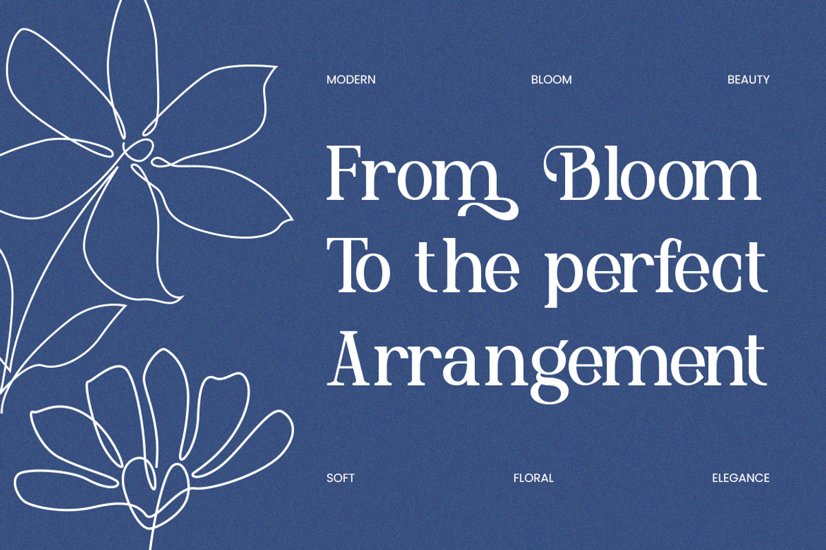 Delmora Elegant Display Serif Font, a Serif Font by Vadovastd (Photo 5 of 8)