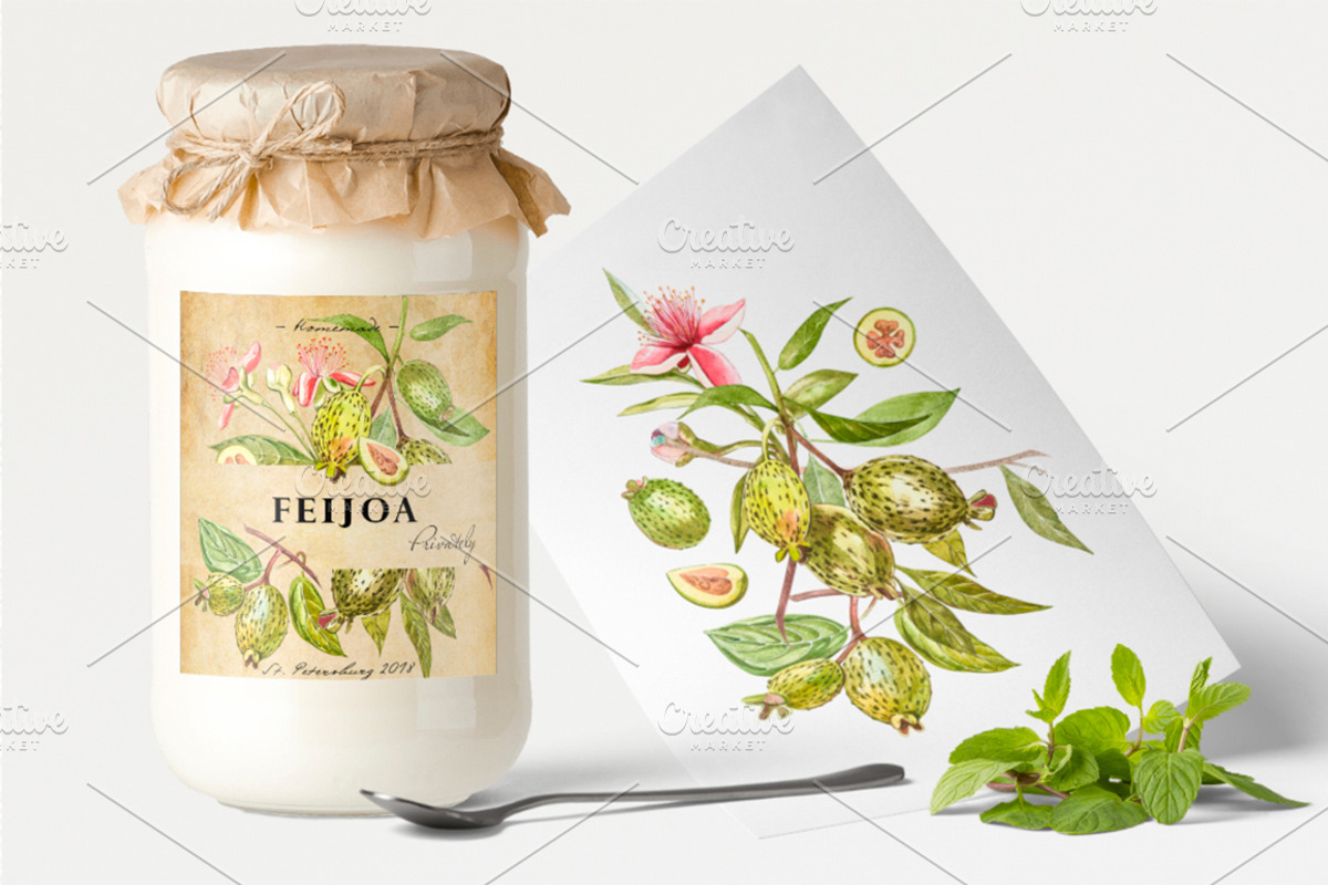 Feijoa Graphic & Watercolor clipart, a Food Illustration by Ann Astro (Photo 8 of 10)