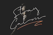 Brigham Signature Script, a Script Font by Glyphstyle (Thumbnail 3 of 10)