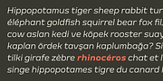 Meguro Serif, a Serif Font by GT&CANARY (Thumbnail 2 of 12)