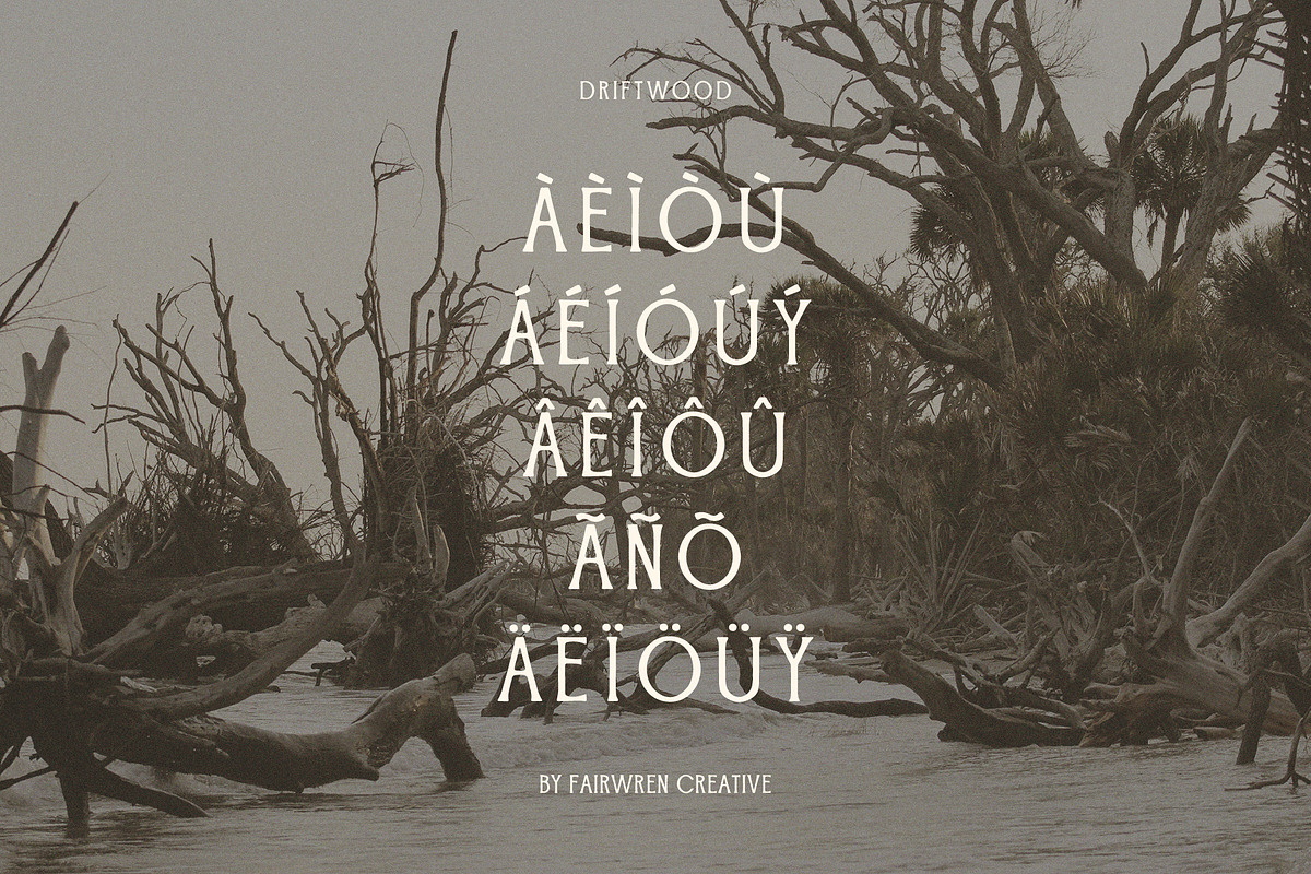 Driftwood, a Serif Font by Fairwren Creative (Photo 4 of 6)