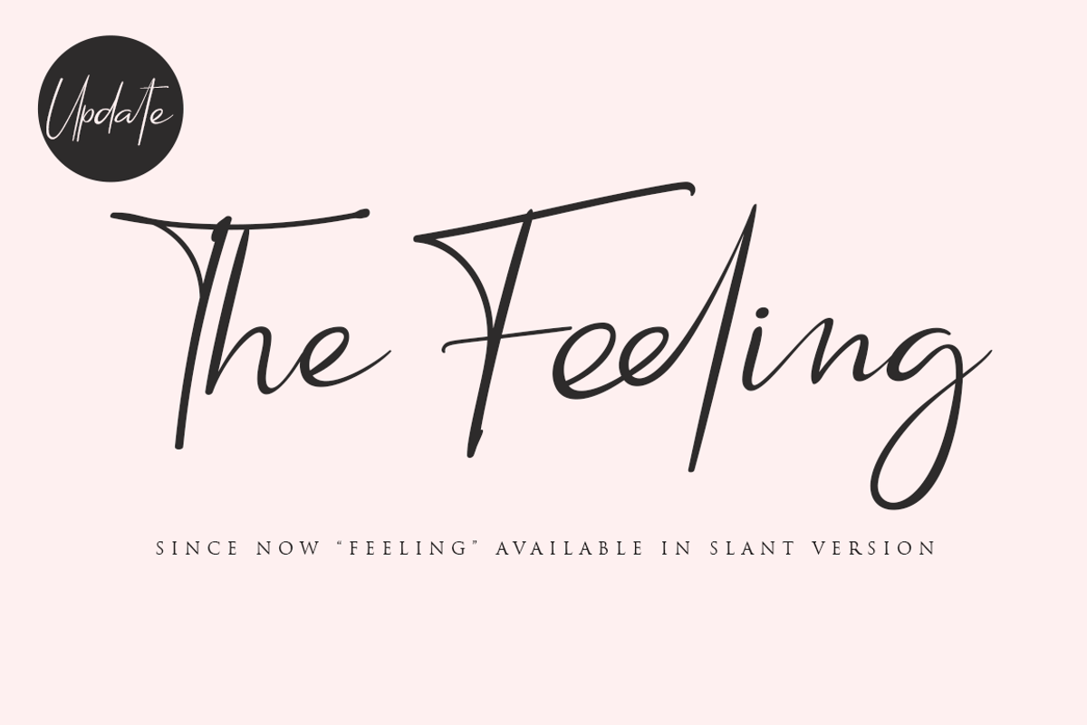 Feeling // an Elegant Script, a Script Font by Haksen (Photo 5 of 10)