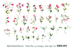 Sweet Pea Clipart, Birthmonth Flower