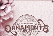 TrickStars Font + Extra Ornaments, a Font by PompoCo (Thumbnail 4 of 7)