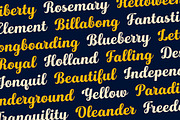 Hollywood • Vintage Font, a Script Font by Annenkov Dmitriy (Thumbnail 2 of 5)