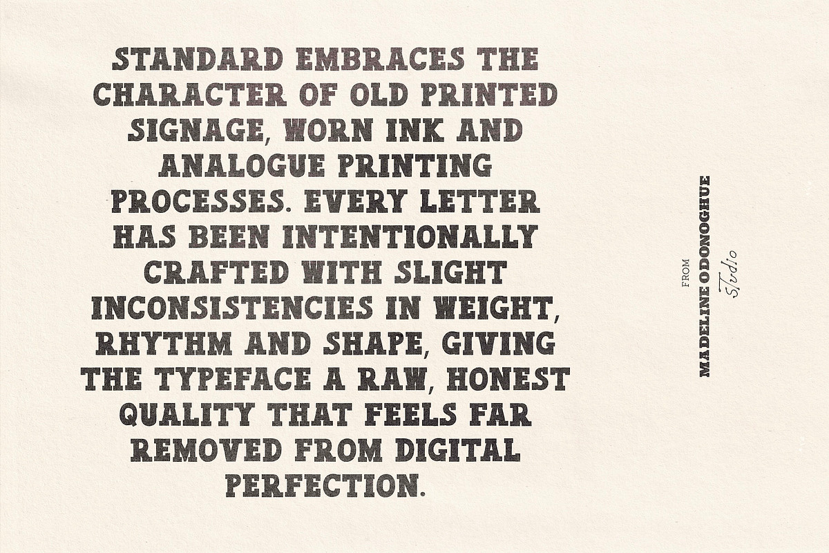 Standard | Hand Made Slab Serif Font, a Slab Serif Font by Madeline ODonoghue Design (Photo 9 of 9)