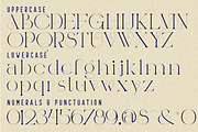 COASTAL COMFORT - LUXURY FONT, a Serif Font by 177Studio (Thumbnail 7 of 8)