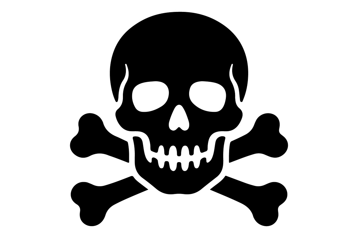 Pirate Skull Vector Icon, an Object Graphic by Gfx_Store (Photo 1 of 14)